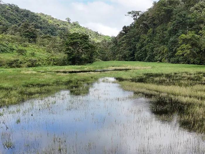 Tapir Valley Lagoon