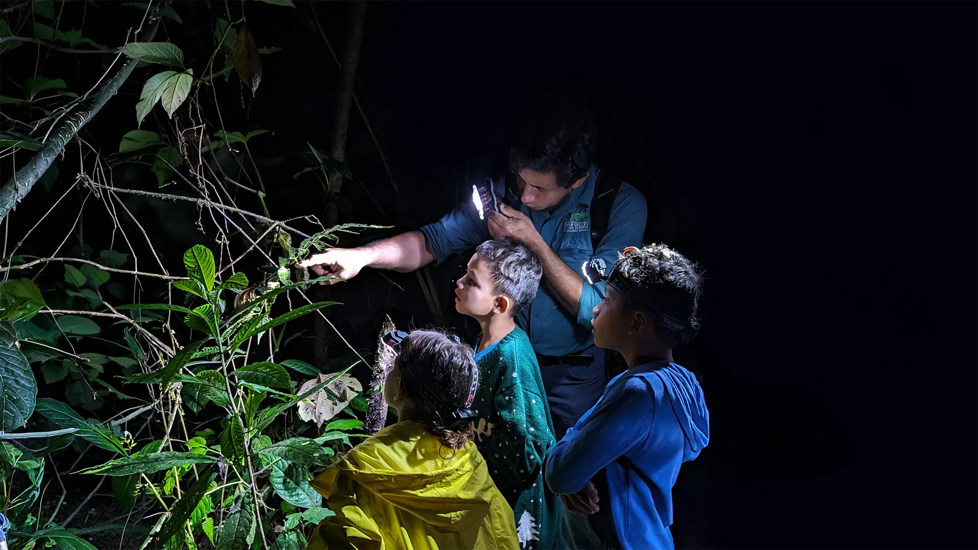 Tapir Valley Night Tour
